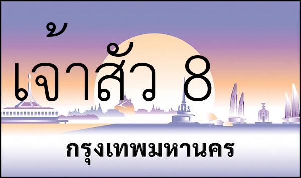 เจ้าสัว 8